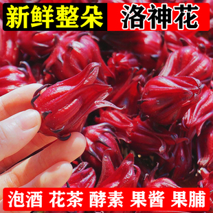 新鲜洛神花泡酒花茶酵素果酱果脯洛神花茶玫瑰茄红桃k鲜果现摘