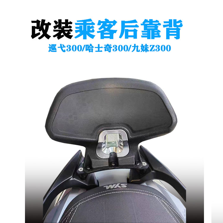 适用于三阳哈士奇Z300后座靠背