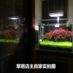 水草营养液 液肥 500ML