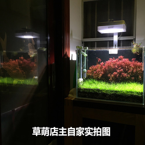 水草营养液 液肥 500ML