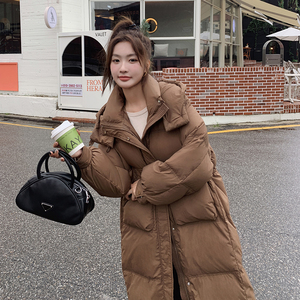 设计感连帽羽绒服女2024冬季新款高级感炸街收腰显瘦白鸭绒面包服图片
