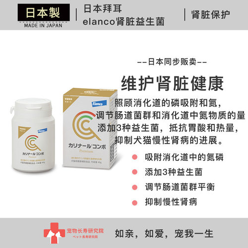拜耳益生菌日本进口慢性肾病