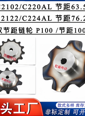 C2102/C220AL/C2122/C224AL/C2162/P100双节距输送链轮6/8/9-15齿