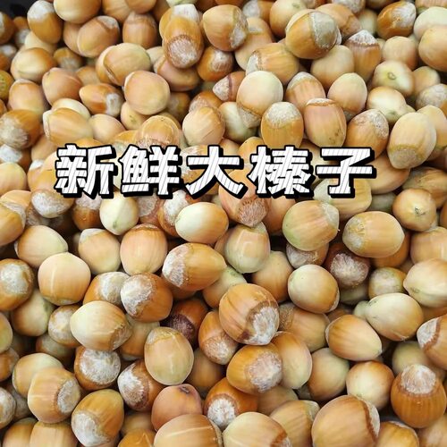 2026年新鲜水仁大榛子新货绿皮水仁水瓤脱绿皮生榛子农户自产自销