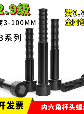 12.9级内六角螺丝M3x55x60x65x70X75X80X85X90X95X100杯头圆柱栓