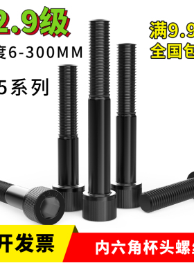 12.9级内六角螺丝M5x60x65x70x75x80x85x90x95x100圆柱头杯头螺丝