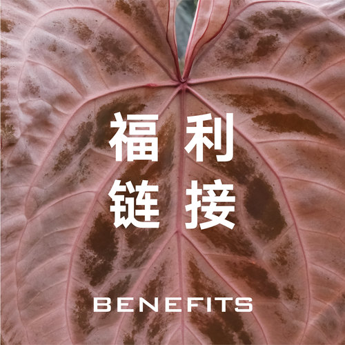【福利链接】3.29直播福利 火鹤王杂印尼波特花烛   室内绿植花烛