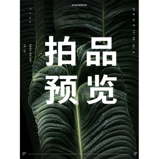 拍賣清單 天南星科觀葉植物室內盆栽綠植 直播菜單順序表