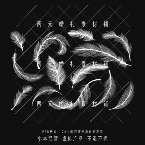 A0282婚礼道具白色羽毛手绘效果图素材psd源文件