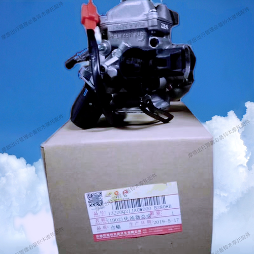 适用轻骑铃木国三韵彩QS100T-B丽彩QS125T-2B睿彩QS125T-4B化油器