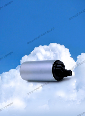 三阳巡戈300 RV250 CRUISYM 300电喷摩托燃油电机马达205-1泵芯