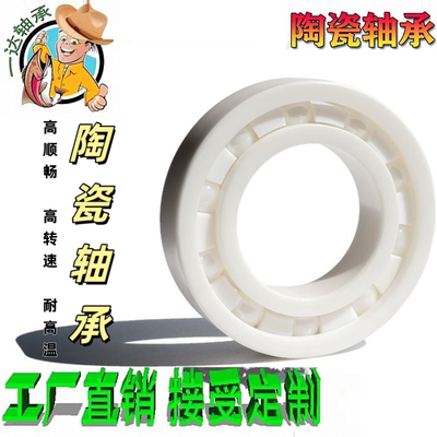 JMSN陶瓷氧化锆16耐腐蚀防水轴承