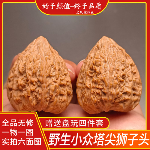 野生小众塔尖狮子头一物一图