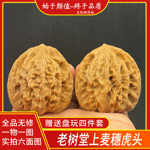 老树麦穗堂上虎头全品无修精品