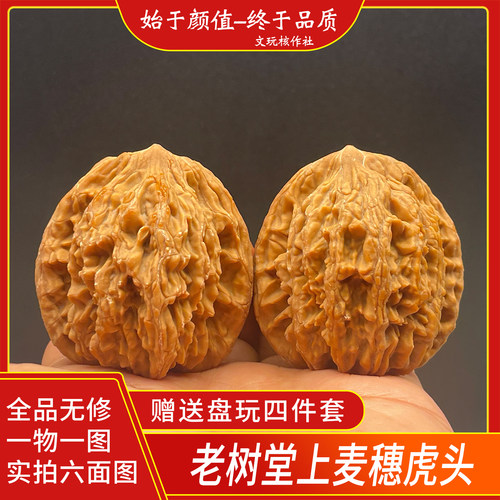 老树麦穗虎头堂上虎头一物一图45