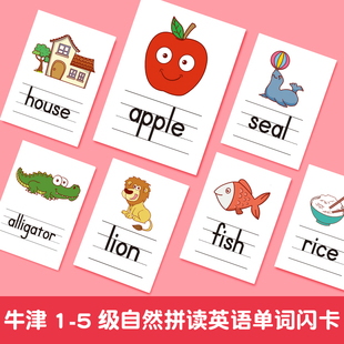 牛津oxford自然拼读闪卡英语Phonics字母单词扫码发音配套塑封卡