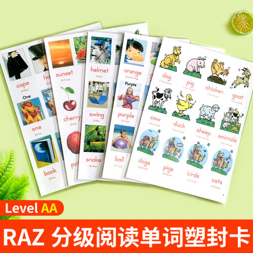 RAZ-AA级分级阅读塑封单词卡