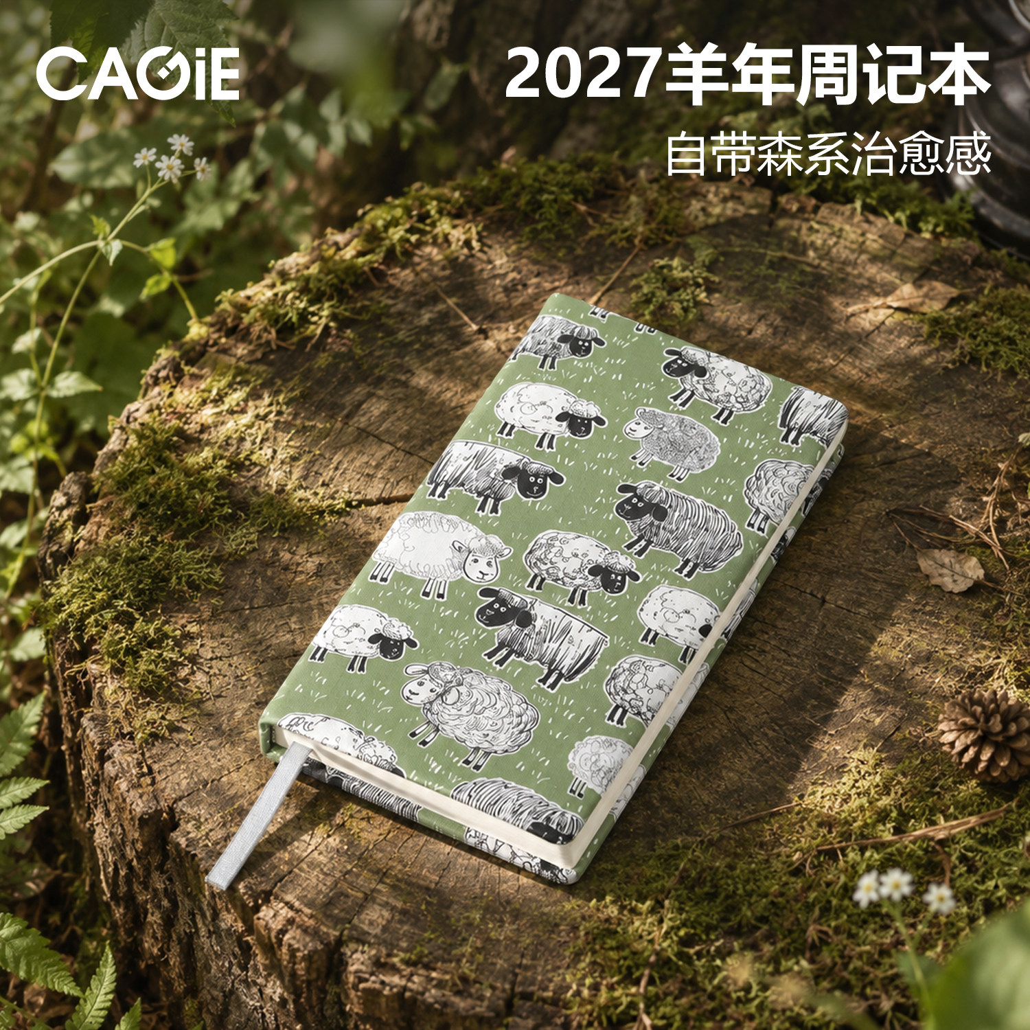 卡杰2027年日程本周计划本精装