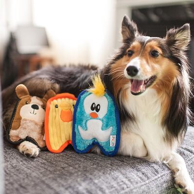 代购一个月Outward Hound幼犬小狗耐咬挤压发声毛绒宠物狗狗玩具