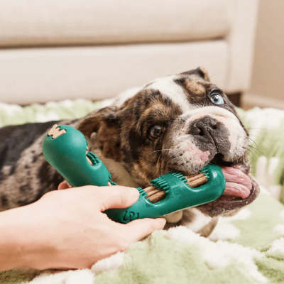 一个月发货WOOF狗狗洁齿玩具狗用牙刷磨牙棒口腔清洁啃咬刷牙神器