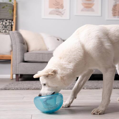 代购美国原装Outward Hound狗狗益智漏食玩具球藏食球互动慢食球