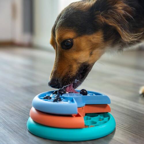 代购 Outward Hound 三层舔舔乐狗狗丰容互动喂食益智玩具慢食碗