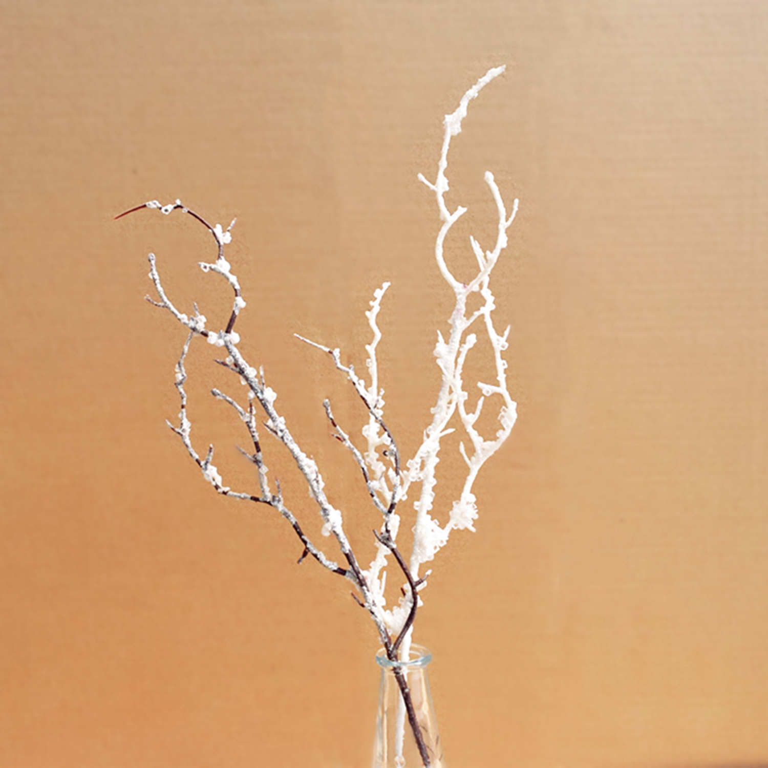 柳丝清露手工树枝仿真小枯枝