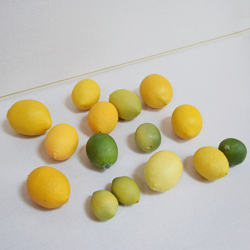 仿真柠檬水果装饰柠檬片手工材料