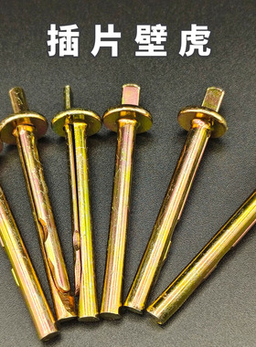 插片壁虎膨胀钉水泥墙快速膨胀钉敲击式膨胀打入式膨胀螺丝6m敲钉