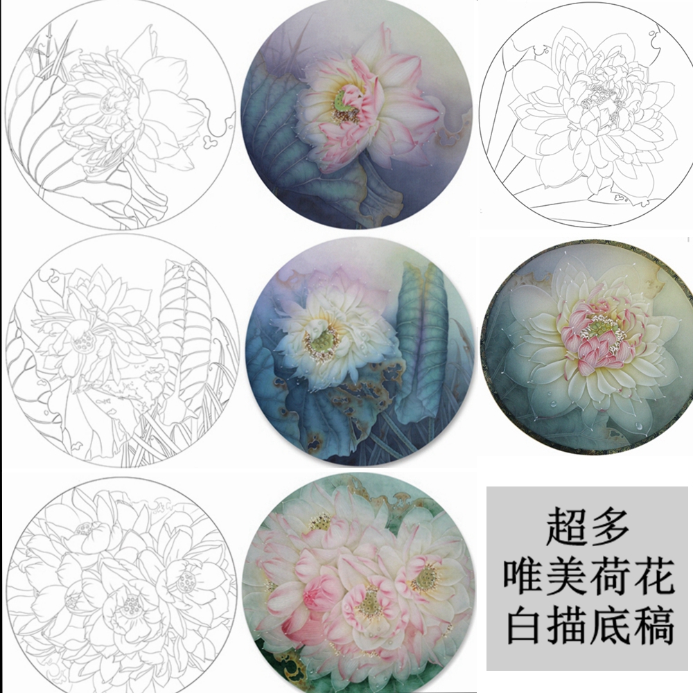 多款可选 国画花鸟荷花莲花工笔画白描底稿临摹线描实物打印稿