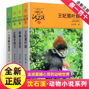 沈石溪动物小说全集作品全套共4册 王妃黑叶猴 红飘带狮王 雄狮去流浪一只猎雕的遭遇动物小说大王沈石溪品藏书系经典儿童文学读本