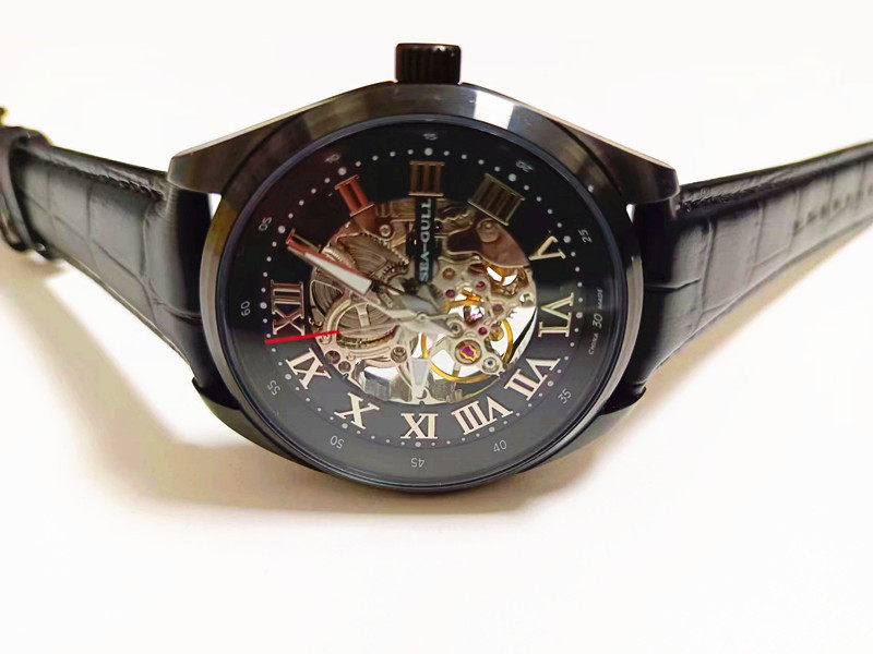 海鸥手表时尚镂空手表皮带表自动机械男表透底锋芒系列d819.611hk