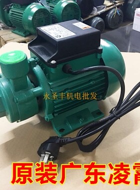 广东凌霄1DB35 1DB45 1DB65 -B清水泵330W 家用抽水机550W 750W