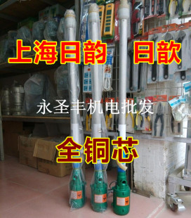 3B手提电动油桶泵抽油泵抽液泵加液泵插桶泵150W油抽 日韵日歆JK