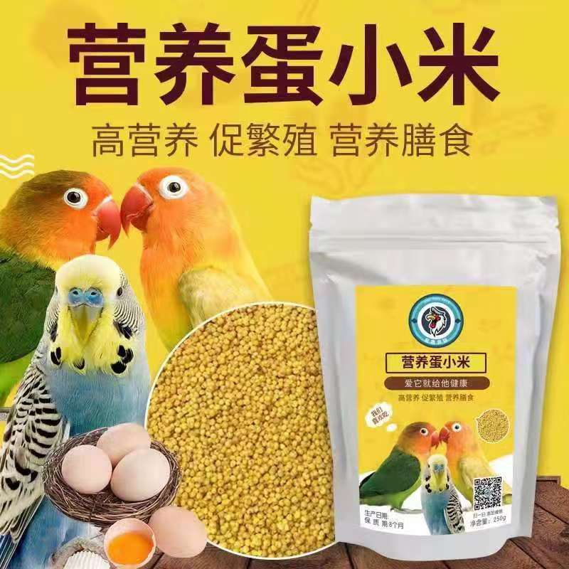鸡蛋小米鸟食活体玉鸟受精蛋繁殖