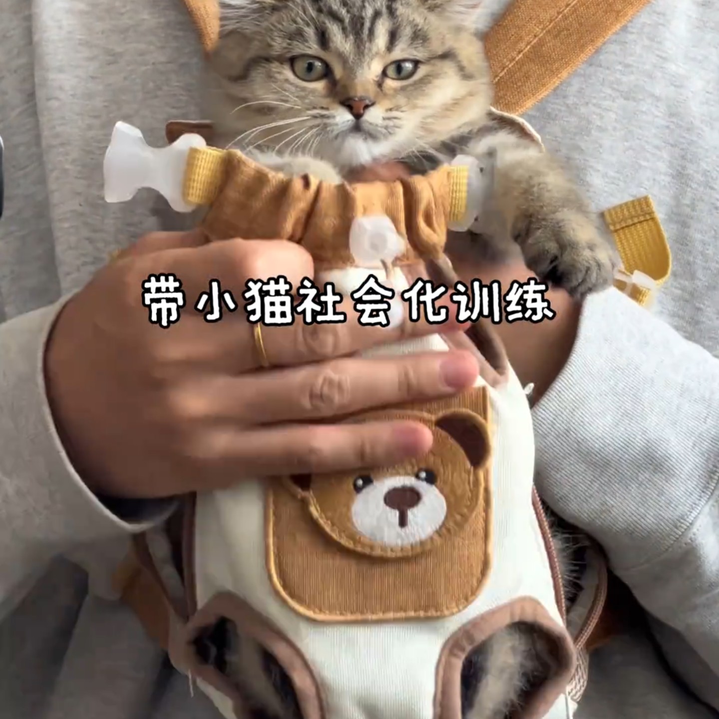 猫狗外出便携透气双肩包夏季透气