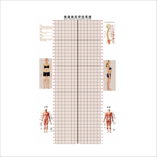 体态评估表墙贴健身房体测网格纸瑜伽馆私教姿势体位背景墙体姿图