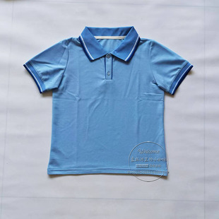 夏季薄款浅蓝色领口宝蓝线翻领短袖T恤POLO衫上衣校服枣庄八中029