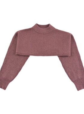 D1796 时尚潮流女童针织衫短款毛衣半高领长袖套头舒适中大童上衣