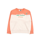 ZK11300 套头中童儿童上衣舒适 毛衣圆领长袖 时尚 百搭女童针织衫