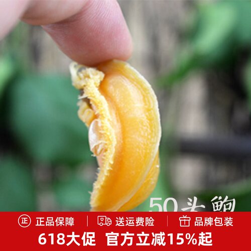 福建淡晒鲍鱼干50g（约5-6头）
