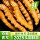 云麓2025头茬鲜虫草新鲜冬虫夏草西藏头期虫草官方旗舰店30根0.8