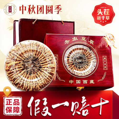 云麓26年冬虫夏草新鲜干草礼盒装