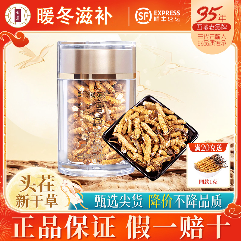 正品头期自用佳品10克冬虫夏草