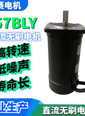 LS57BLY242030D8直流无刷电机驱动器套装BLD-300B 24V150W3000转