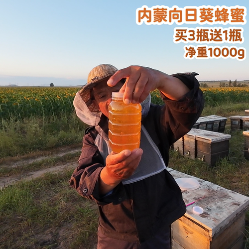 【2025年·9月·新鲜·向日葵蜜·1000g】小汤蜂蜜天然买3瓶送1瓶