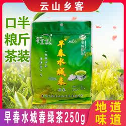 贵州六盘水早春水城春茶云雾绿茶袋装提神耐泡采摘袋装云宗雪250g