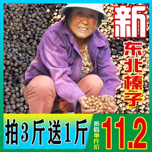 2025新货东北山榛子铁岭开原特产新鲜手拍中小果炒熟水漏包邮