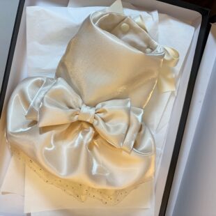 雪纳瑞比熊小型犬礼服狗衣服裙子宠物衣服高定婚纱礼服洋气蝴蝶结