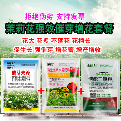 茉莉花专用叶面肥保花增加花量
